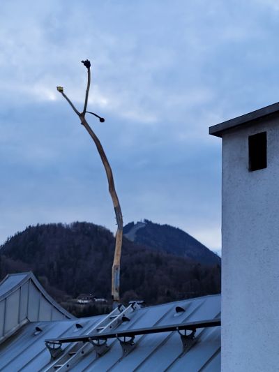 rotgelbblau4